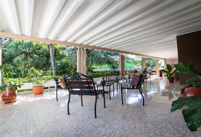 فندق Diria Santa Cruz