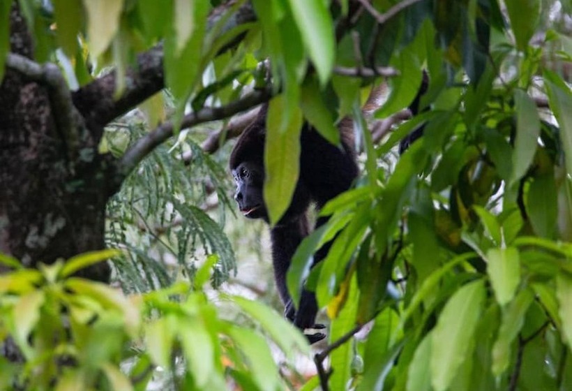 فندق Diria Santa Cruz