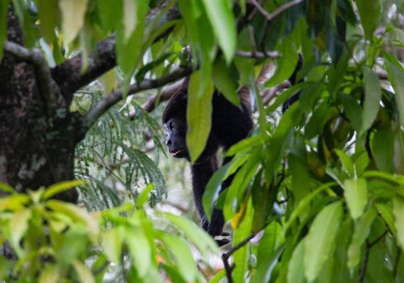 فندق Diria Santa Cruz