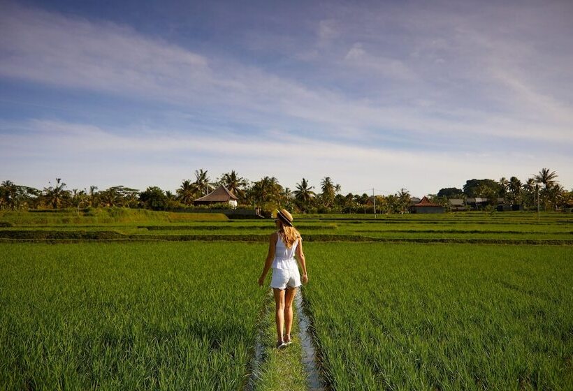 酒店 Element Bali Ubud