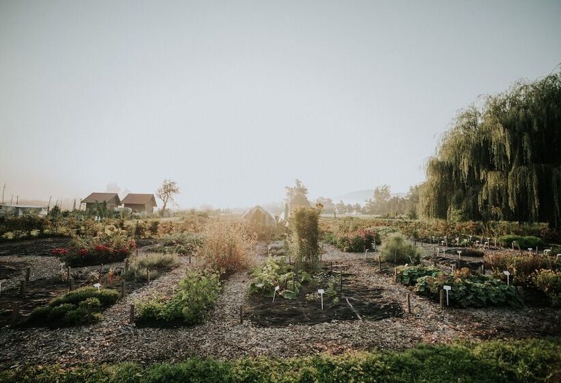 هتل Guesthouse Bistra