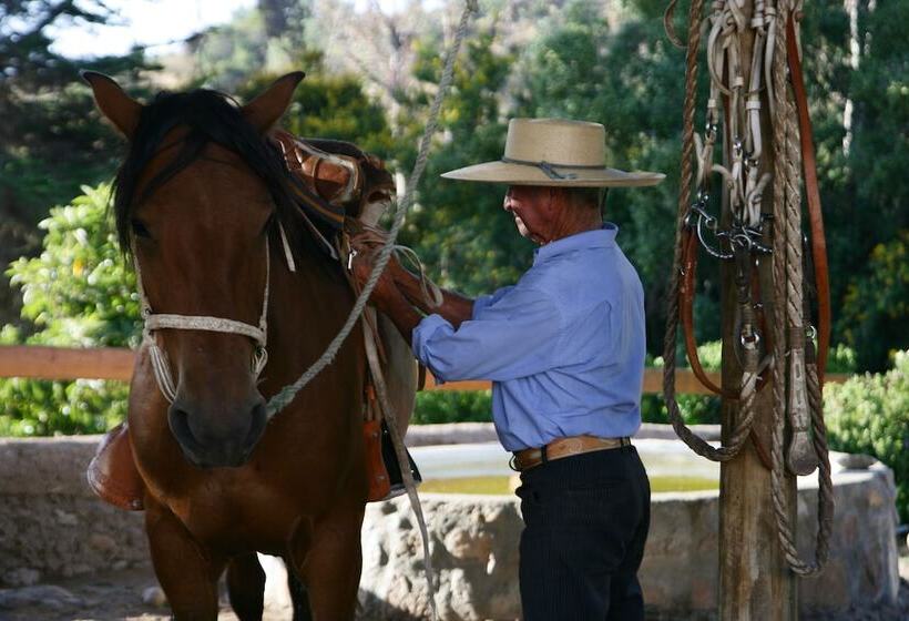 فندق Hacienda Santa Cristina