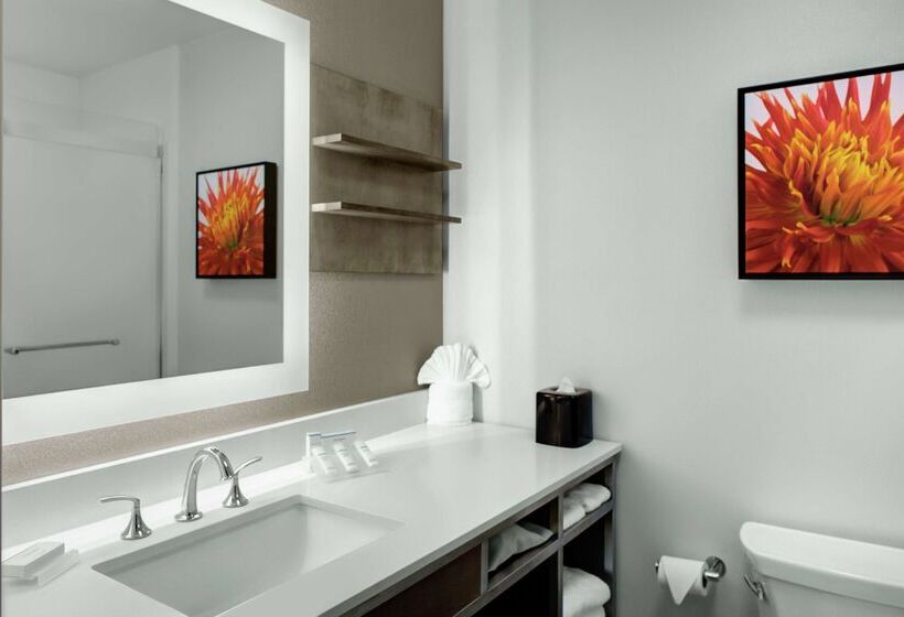 酒店 Hilton Garden Inn Charlotte Waverly, Nc