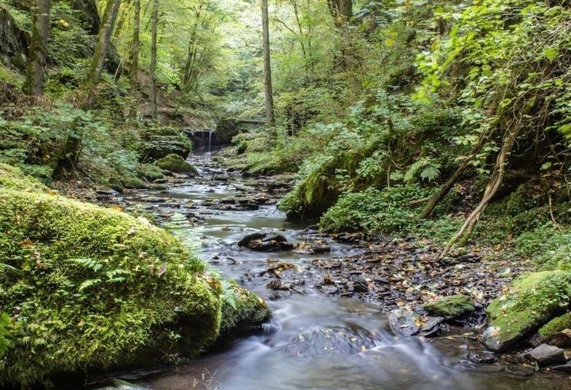 Отель Hochwald Lodge