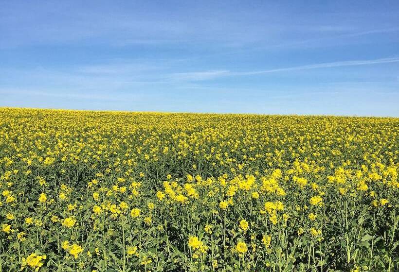 ホテル L Vellingebacken