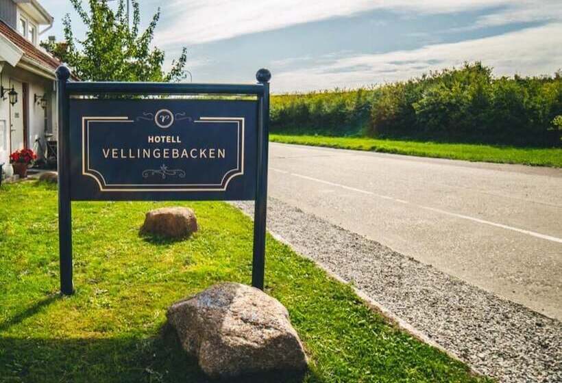 ホテル L Vellingebacken