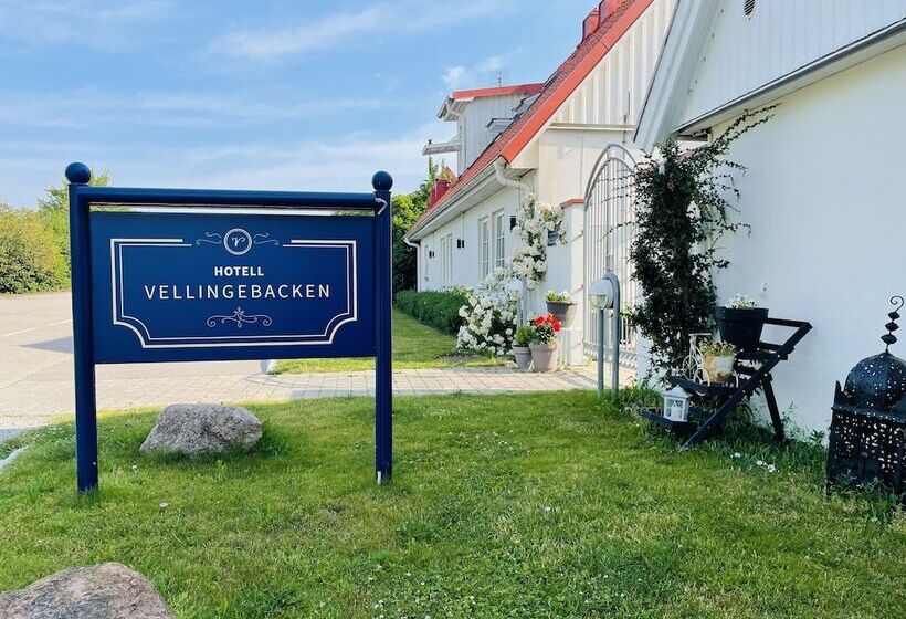 ホテル L Vellingebacken