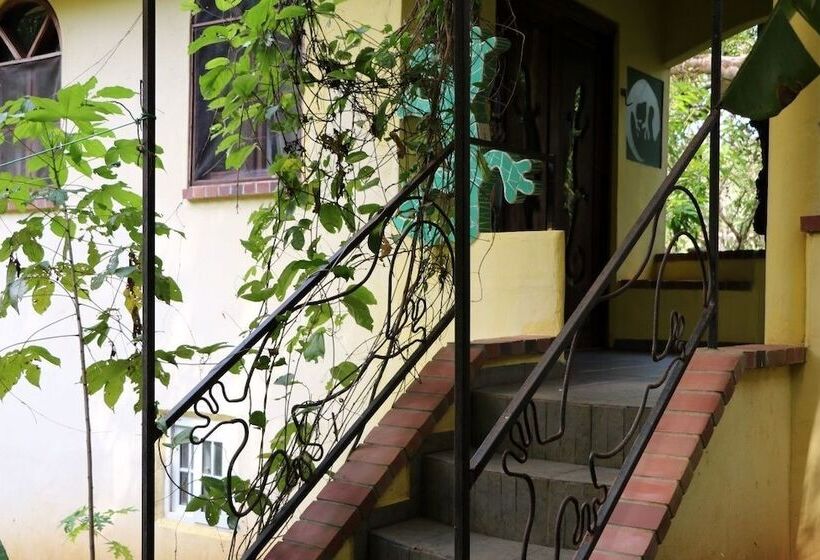 酒店 La Buena Vida