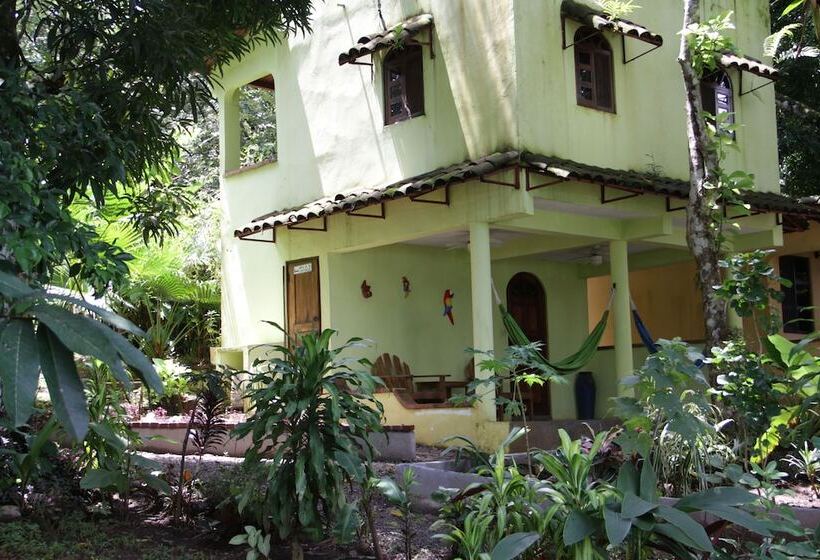 酒店 La Buena Vida