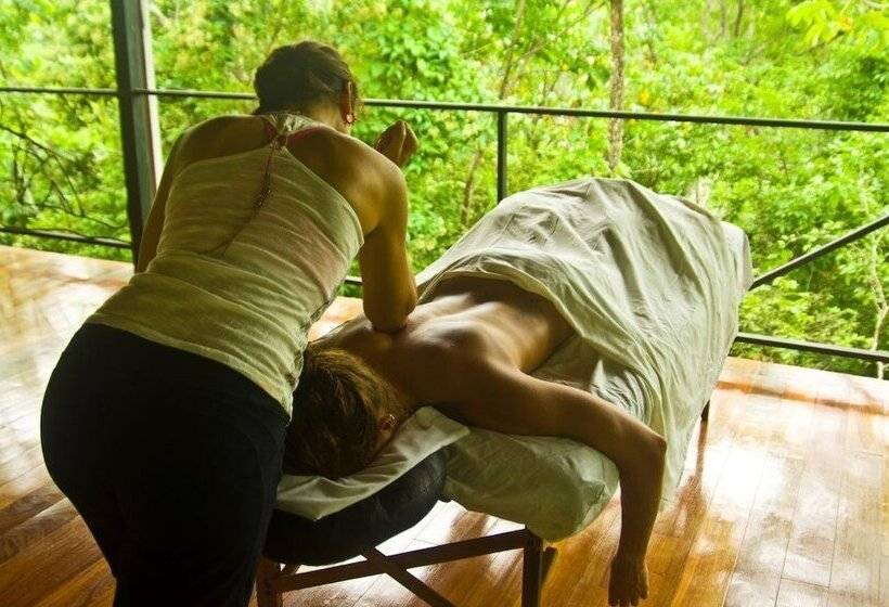 酒店 La Buena Vida