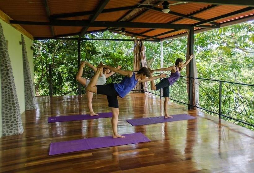 酒店 La Buena Vida