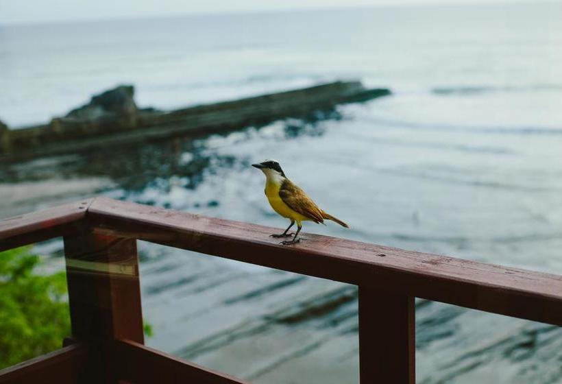 Отель Magnific Rock Surf Resort & Yoga Retreat Nicaragua