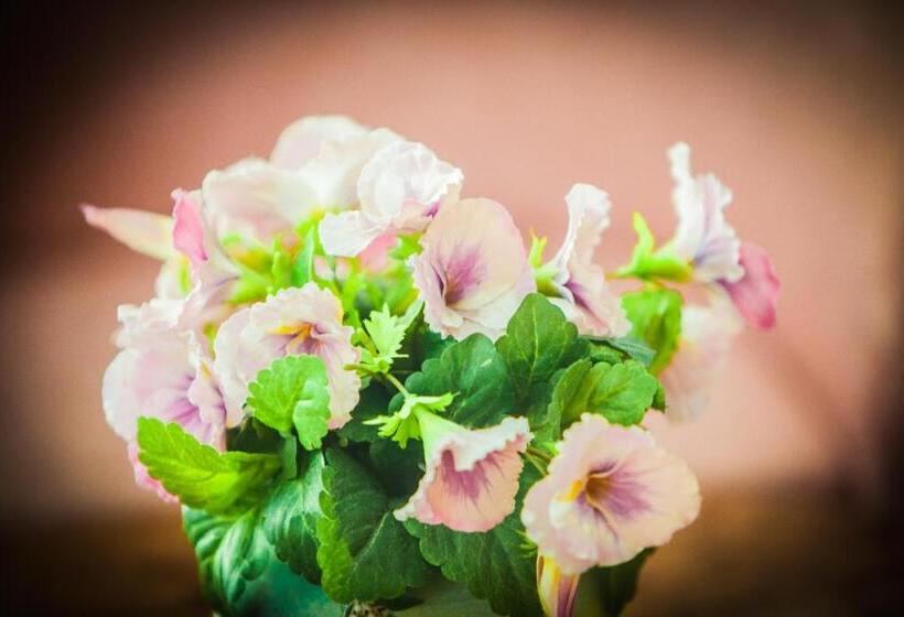 בית מלון כפרי Costazzurra