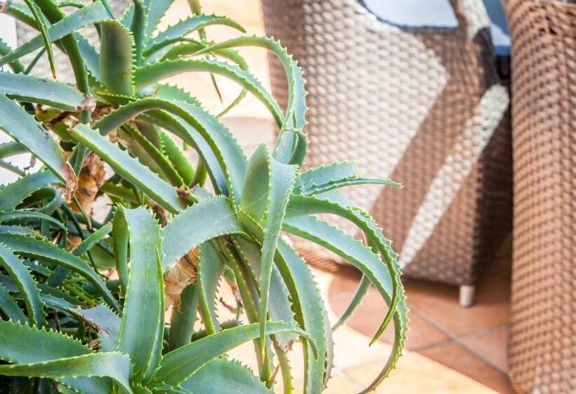 בית מלון כפרי Costazzurra