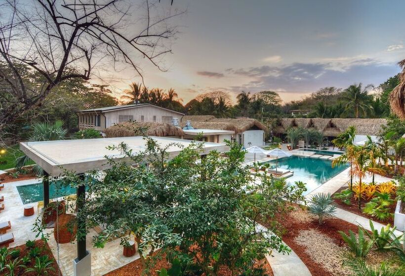 ホテル The Gilded Iguana