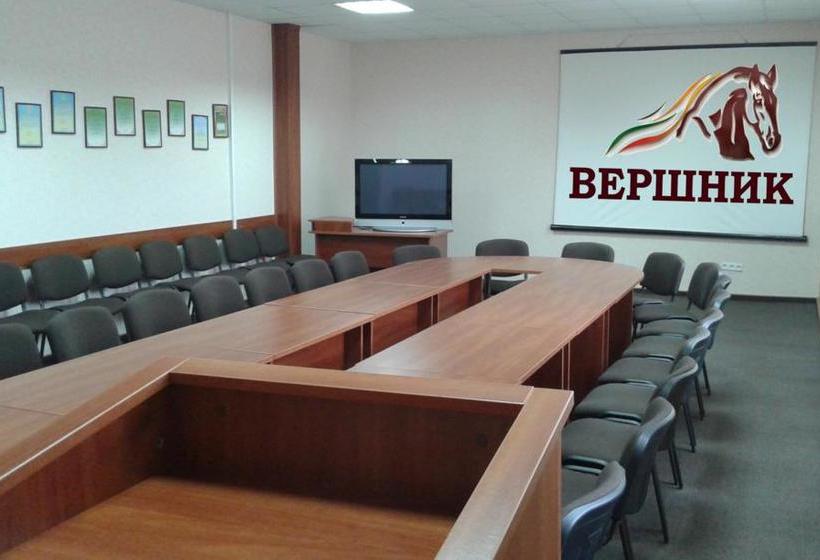 Отель Vershnyk