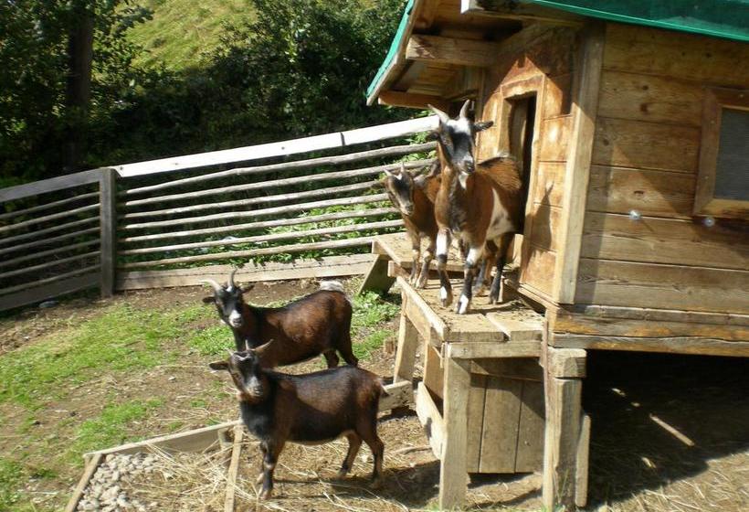 Jugend  Und Familienhotel Venedigerhof