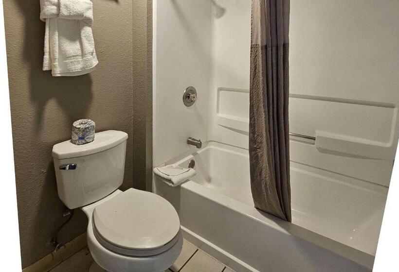 Отель Rodeway Inn & Suites Thousand Palms Rancho Mirage