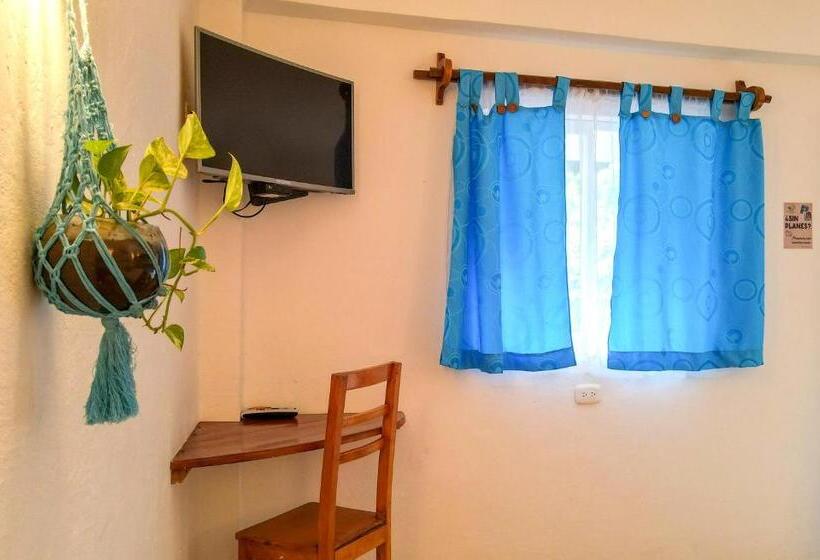 هاستل Primaluna Palomino