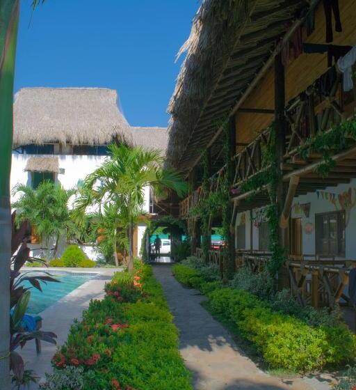 هاستل Primaluna Palomino