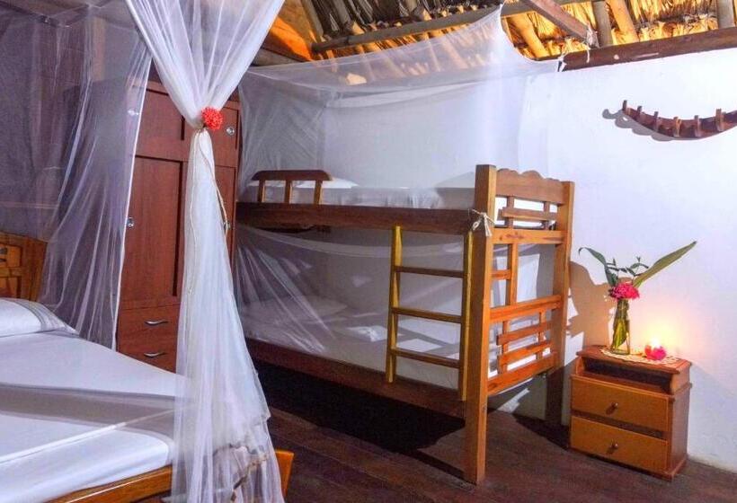 هاستل Primaluna Palomino