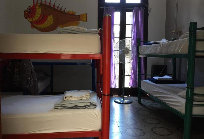 Rivera Hostel Córdoba
