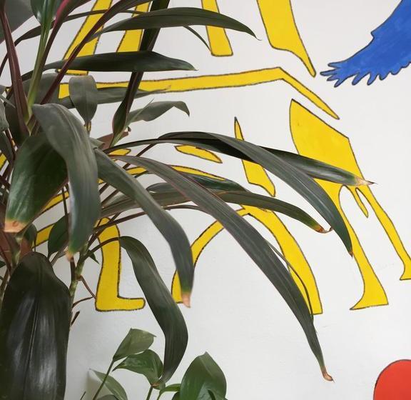 Rivera Hostel Córdoba