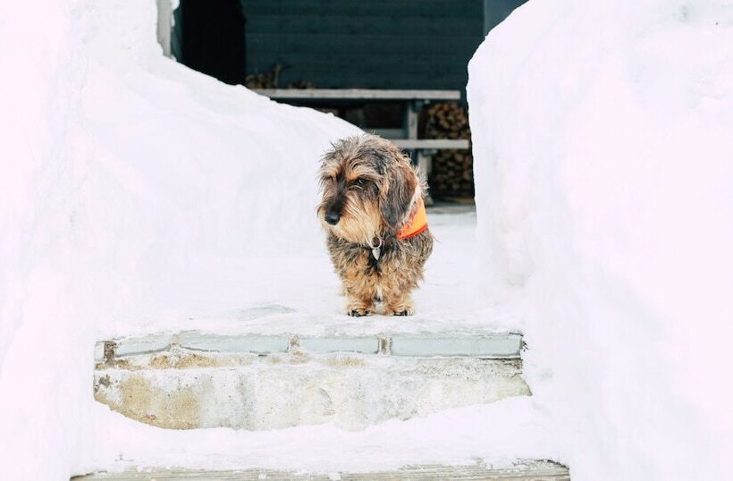 Ruka Peak   Boutique Hotel & Restaurant