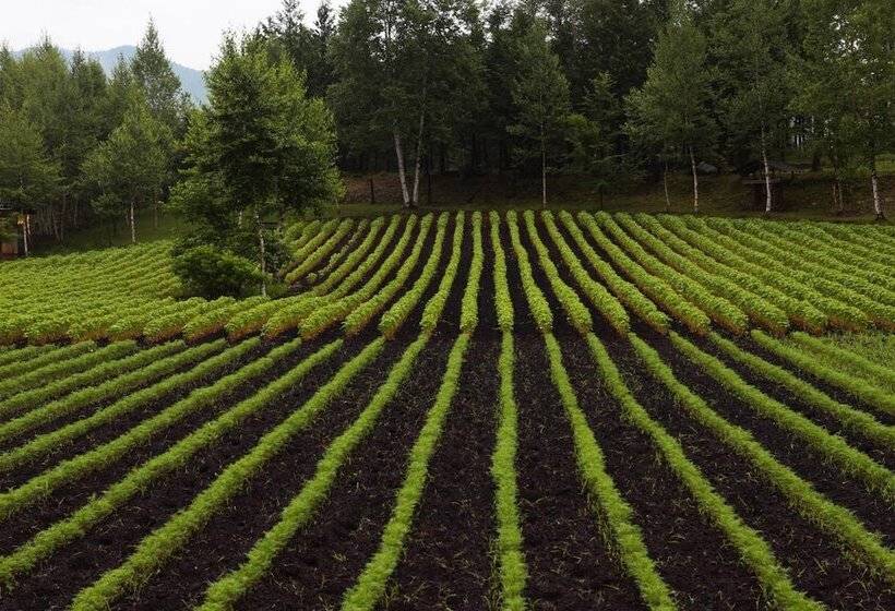 ריוקאן Tsutaya Tokinoyado Kazari