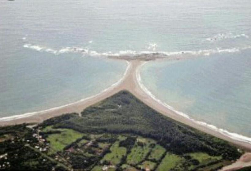 فندق صغير Blue Sunshine