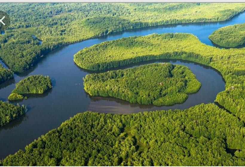 فندق صغير Blue Sunshine