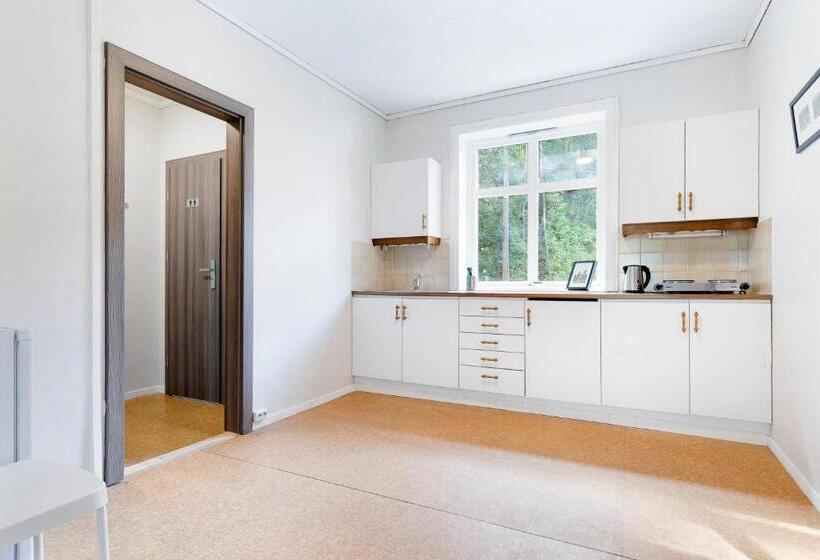 הוסטל Slottet Apartments
