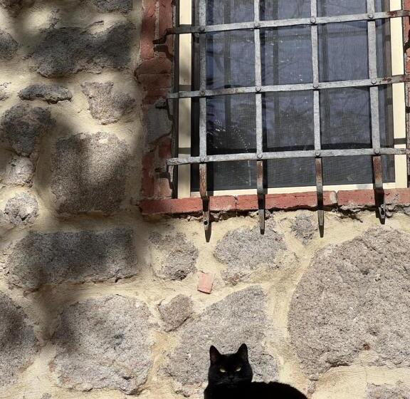 B&b Podere Legnotorto