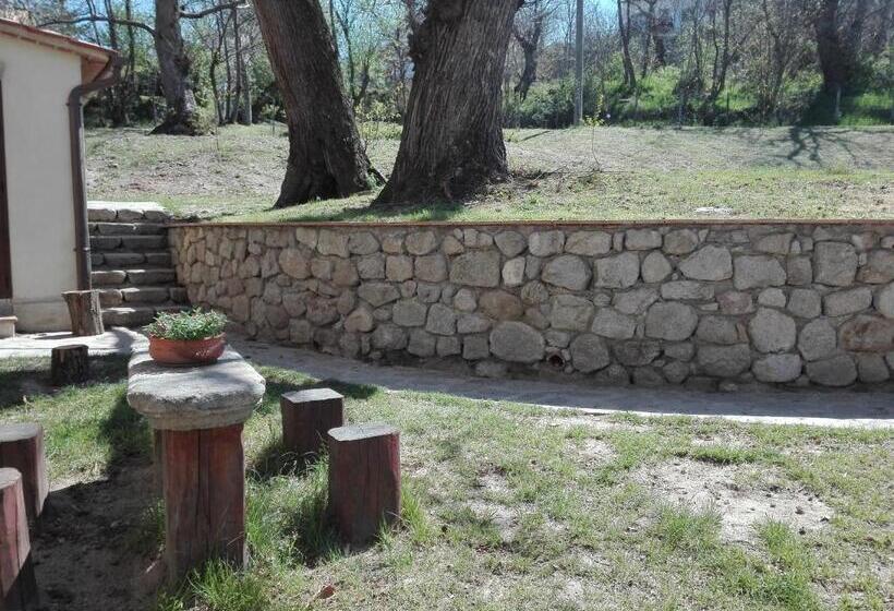 B&b Podere Legnotorto