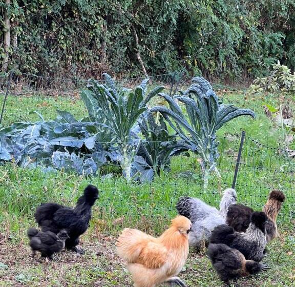 B&b Podere Legnotorto