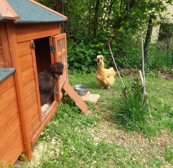 B&b Podere Legnotorto