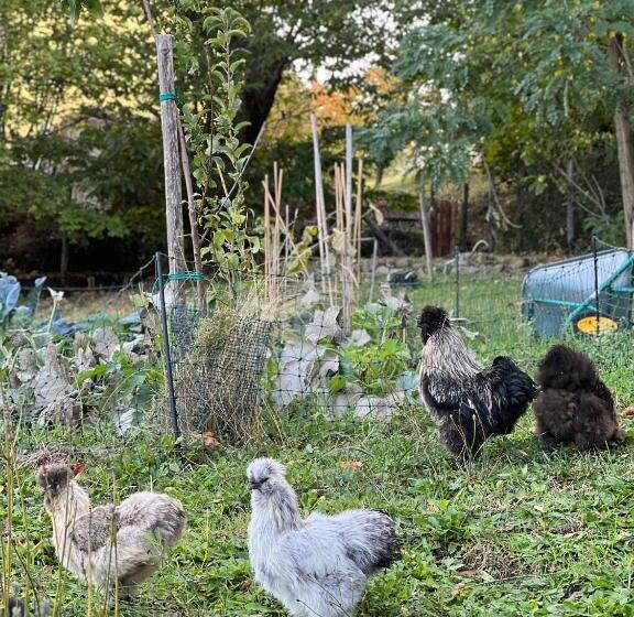 B&b Podere Legnotorto