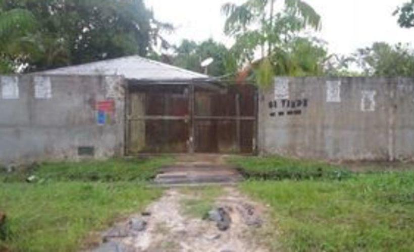 تختخواب و صبحانه Amazonia Guest House