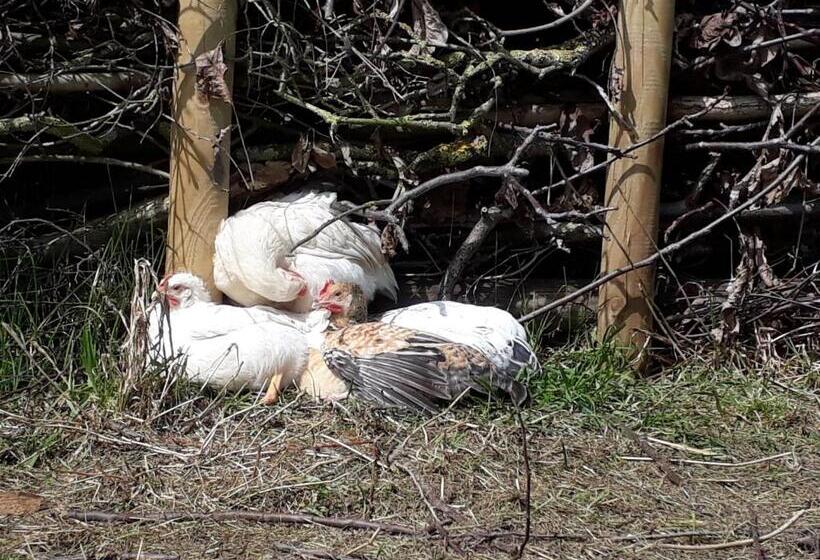 민박 Bingers Kleine Scheune