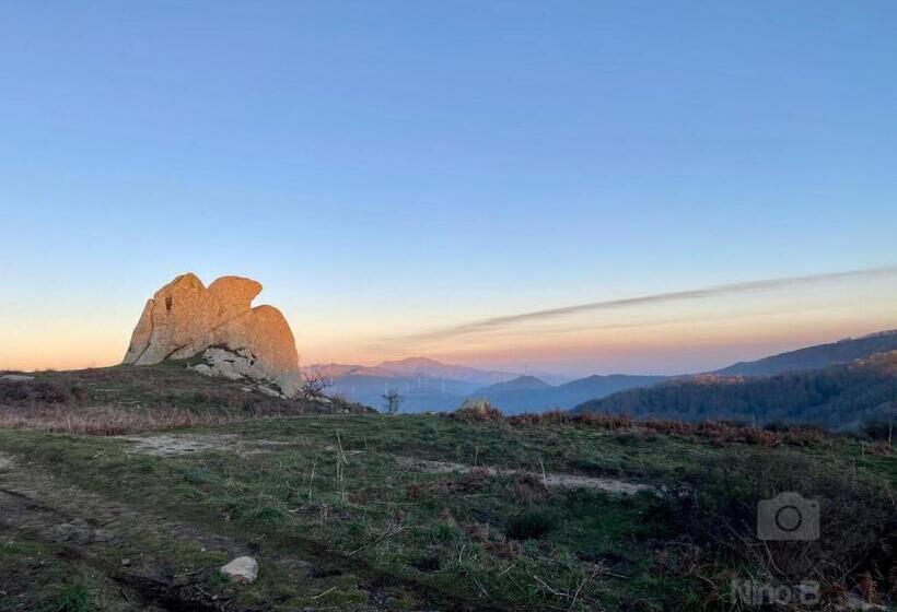 צימר Dolmen House