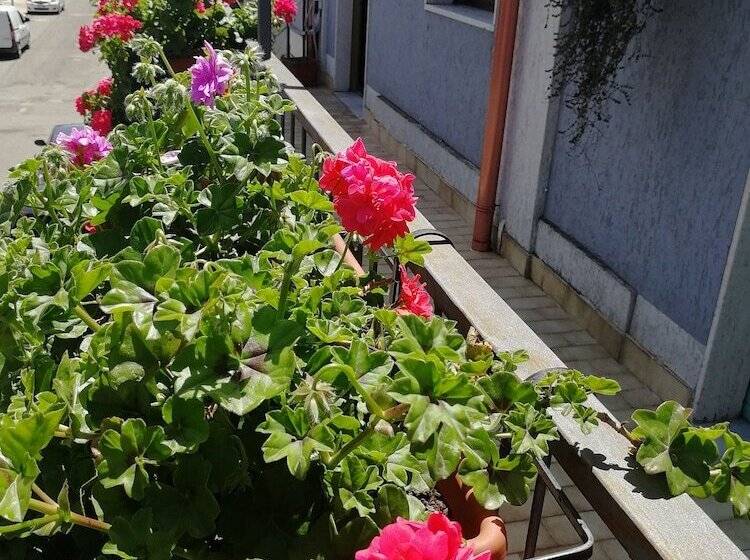 Bed and Breakfast Donna Melina