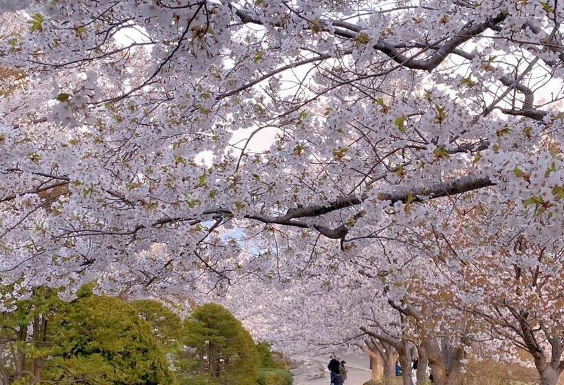 צימר Otarunishikien