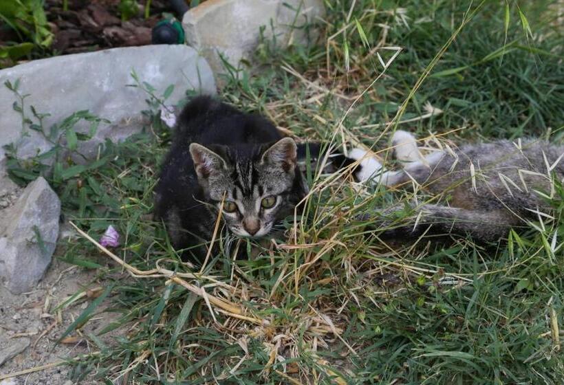 צימר Poggiolo Val Borbera