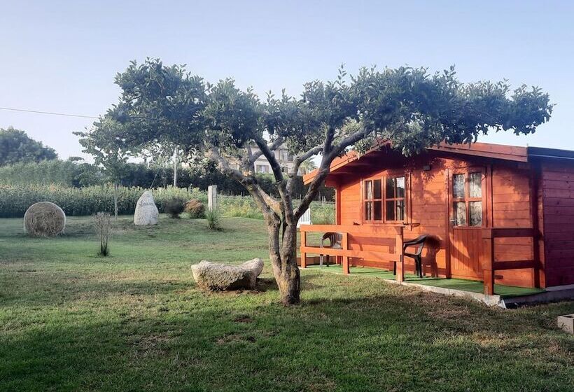 住宿加早餐  Residence Il Tiglio