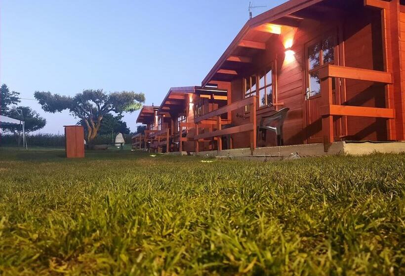 住宿加早餐  Residence Il Tiglio