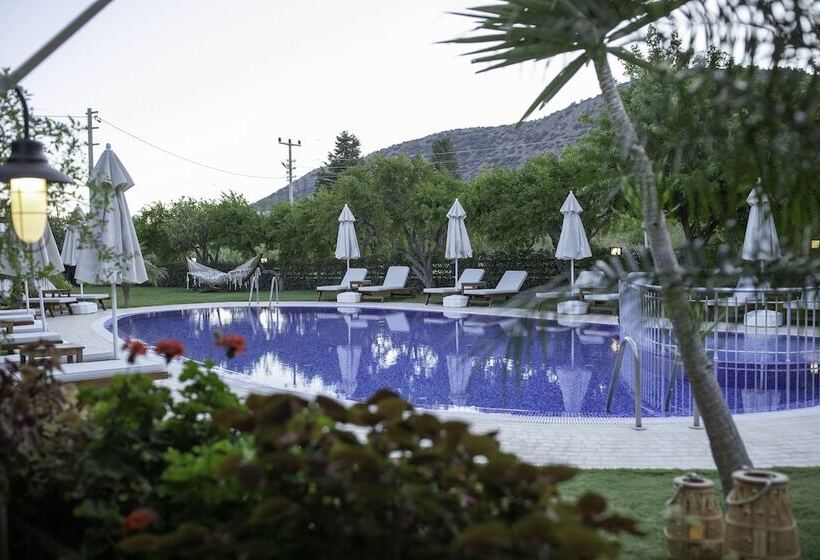 مبيت وإفطار Savana Butik Otel