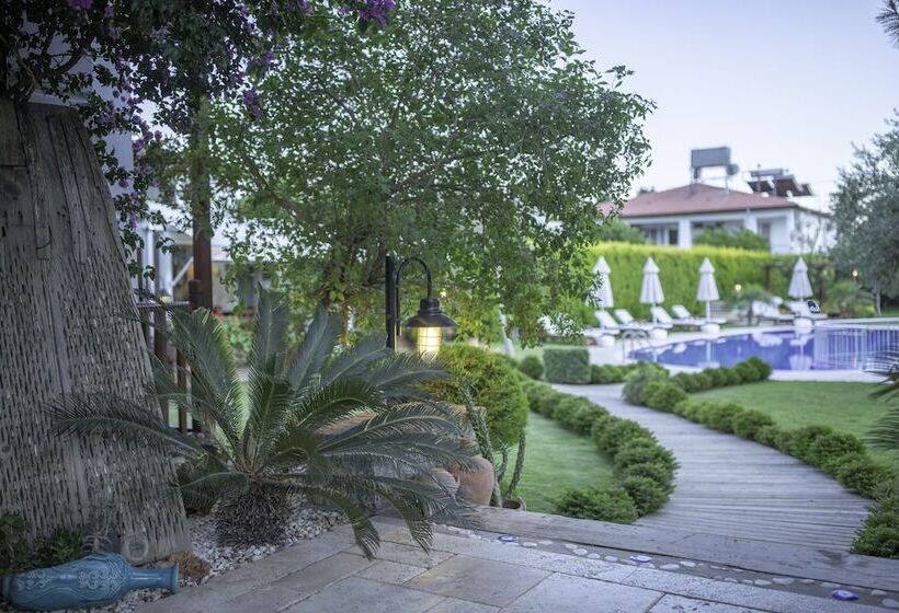 مبيت وإفطار Savana Butik Otel