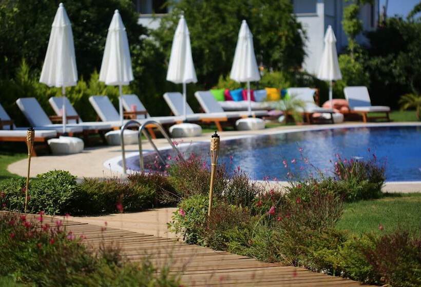 مبيت وإفطار Savana Butik Otel