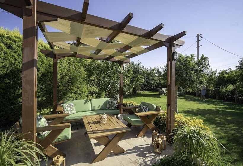 مبيت وإفطار Savana Butik Otel