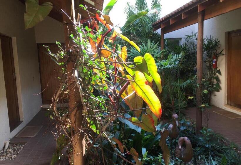 مبيت وإفطار Tropical Paradise